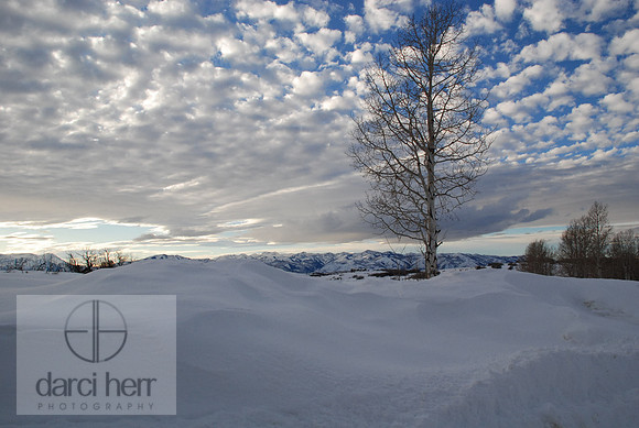 Landscape Photography for Sale in Park City UT