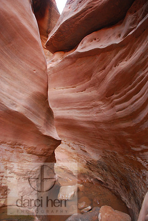 Landscape Photographer in Summit County UT