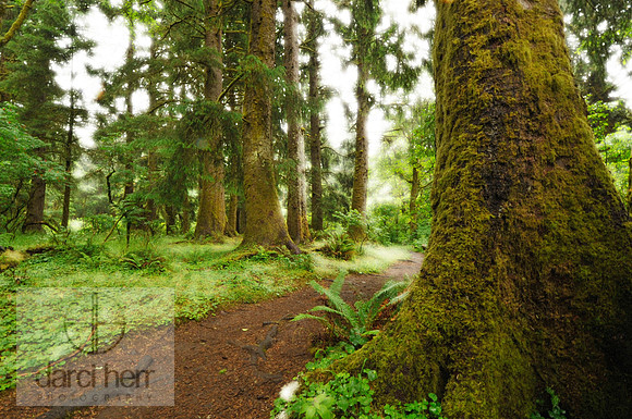 Professional Landscape Photography for Sale in Salt Lake City UT